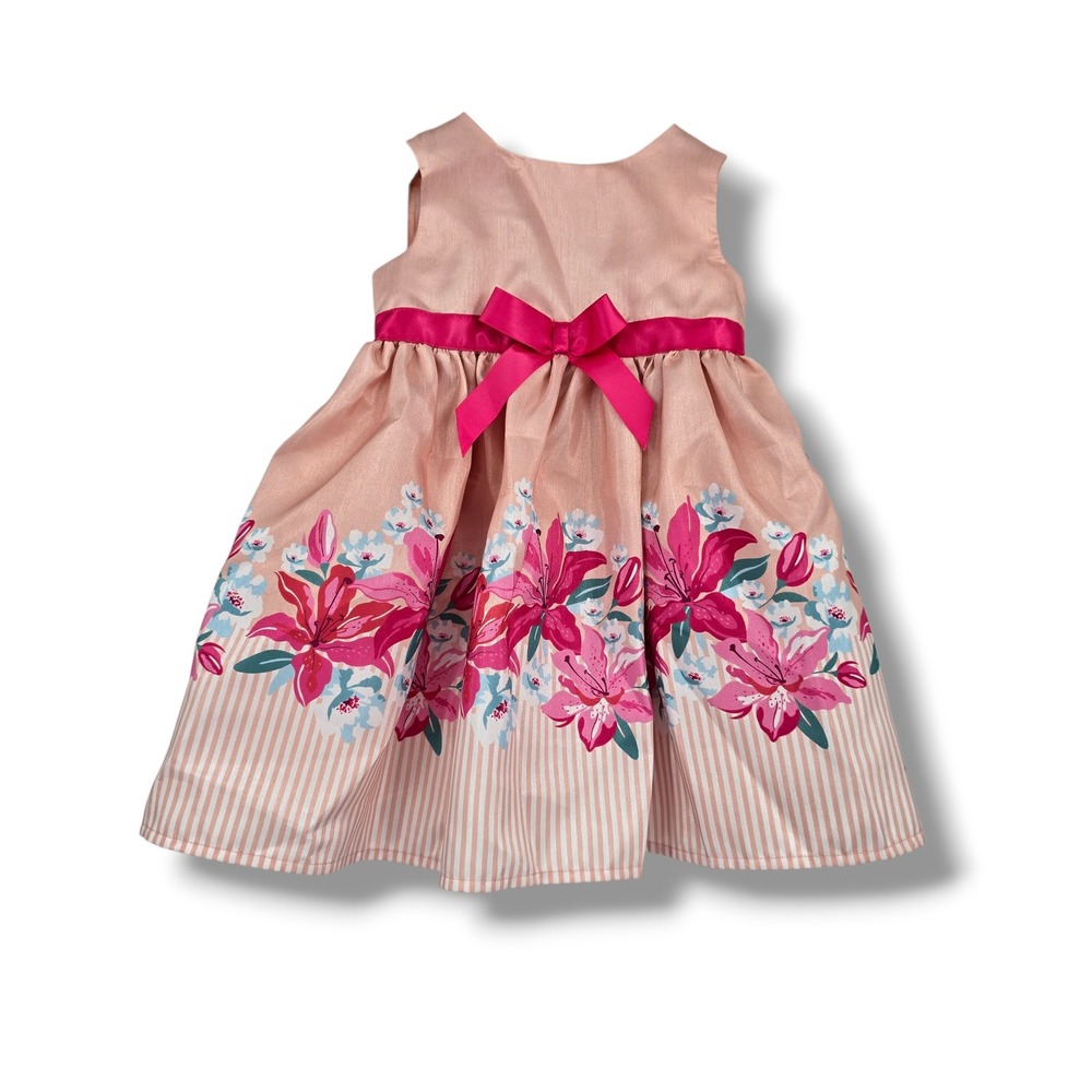 Blueberi Boulevard Baby Girls Light Peach Floral Stripe Party Dress Size‎ 18M